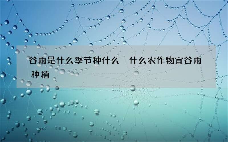 谷雨是什么季节种什么 什么农作物宜谷雨种植